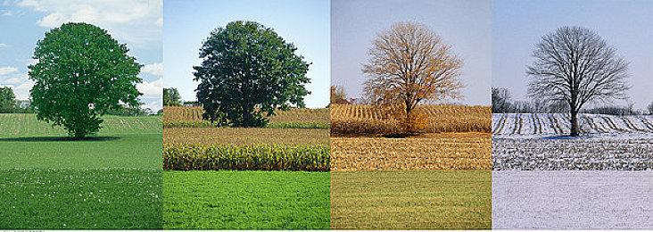 《质量效应2：传奇版》非官方补丁发布 修复海量BUG